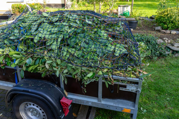 Professional Junk Removal Services in Woodbury, TN